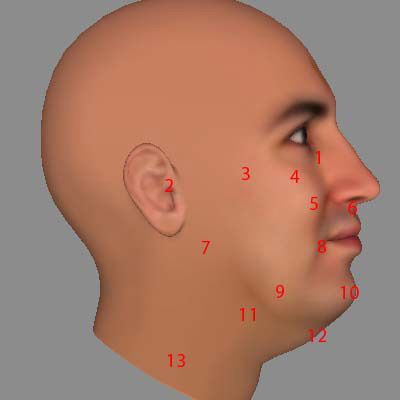 illustration of man's face