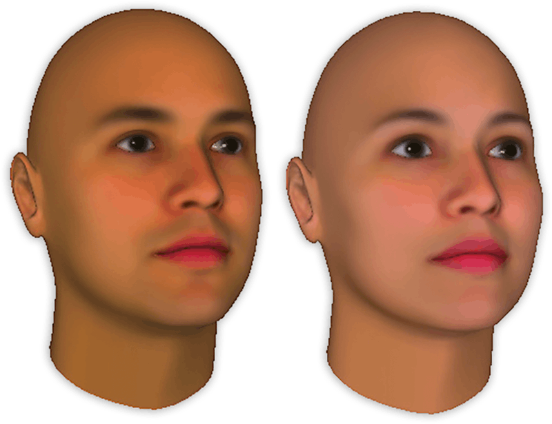 Eface Tool