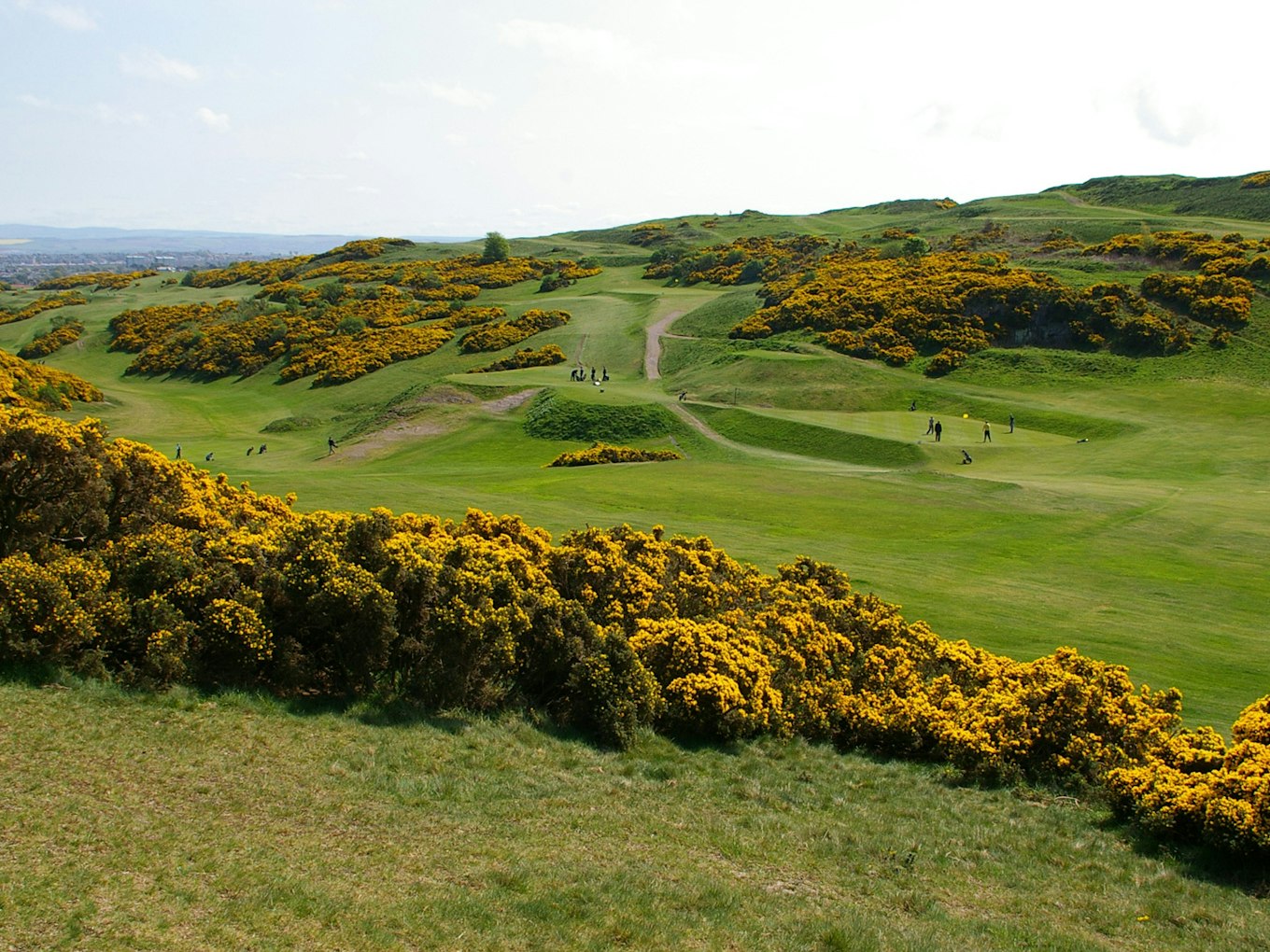 Whisky & Golf Schotland