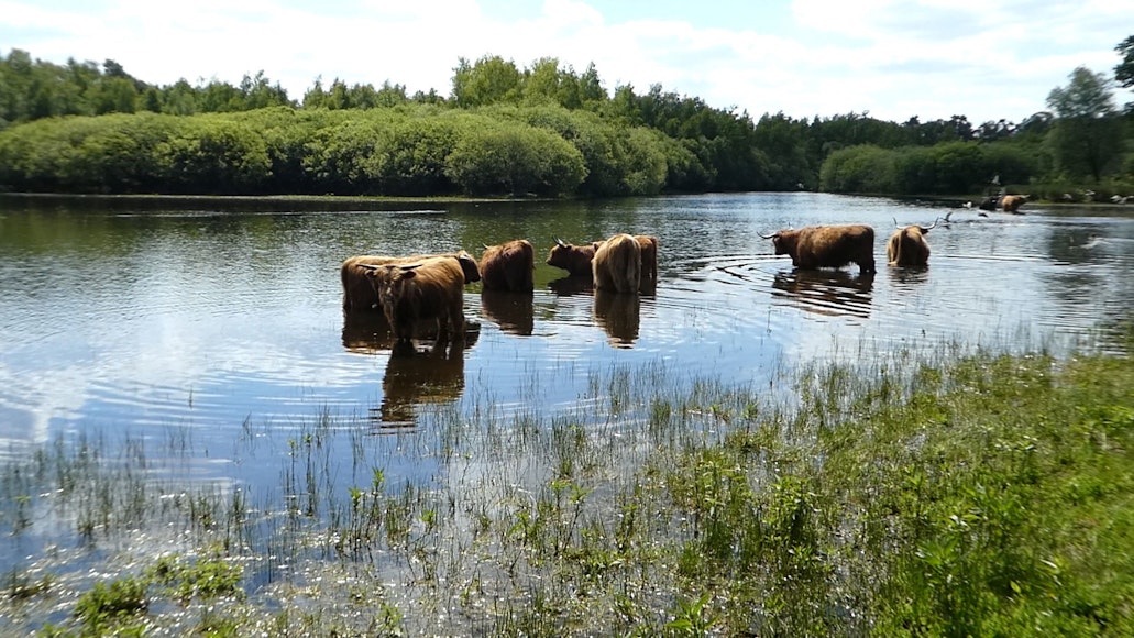 Whisky reizen Twente