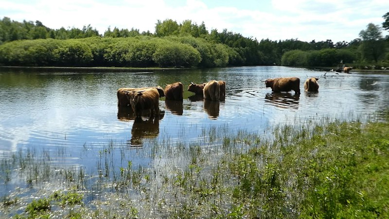 Whisky reizen Twente