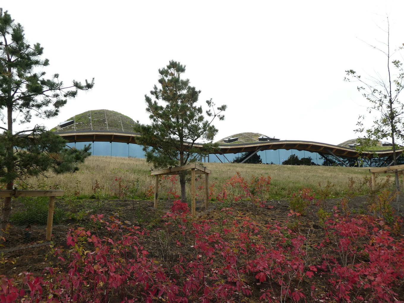 The Macallan distillery | Travel4Reasons The Macallan distillery | Travel4Reasons