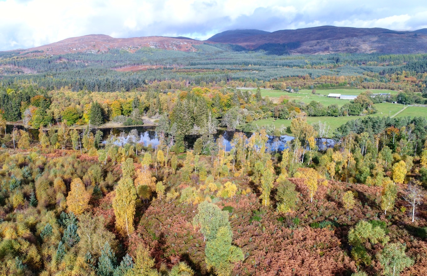 Autumn | Highlands (Travel4Reasons)