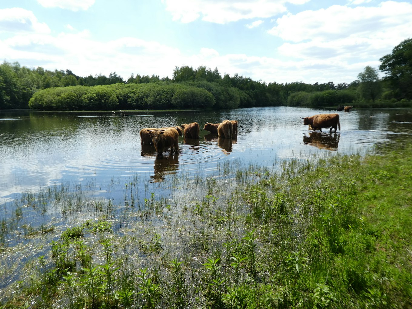 Omgeving Twente De prachtige Twentse natuur.