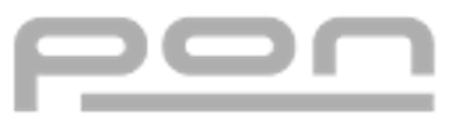 PON Logo