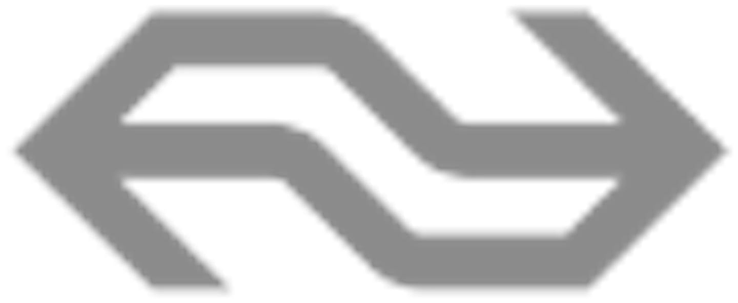 NS Logo