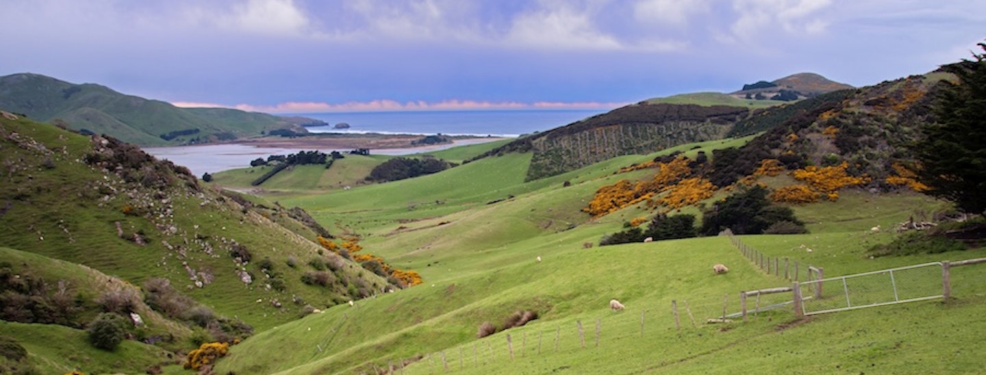 rolling farmland