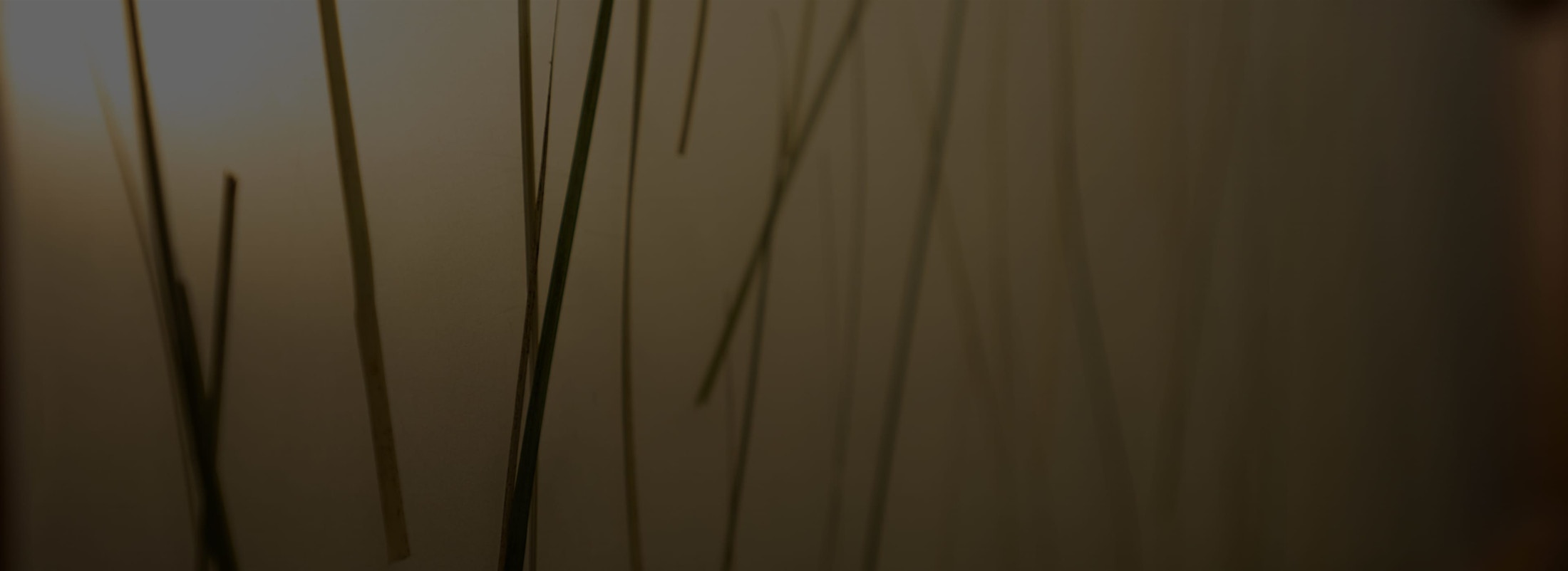 Banner media