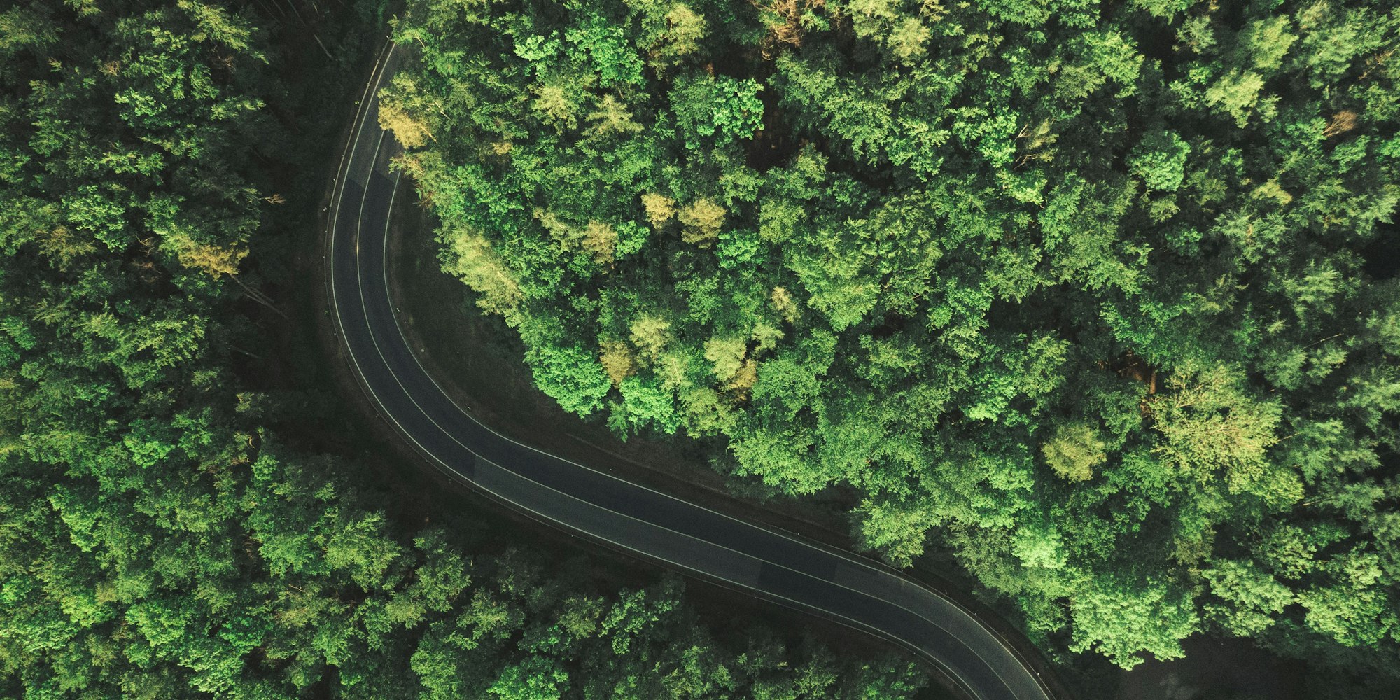 The road to fleet electrification Cover Image for The Road to Fleet Electrification: How Last-Mile Fleet Electrification Is Driving Opportunities