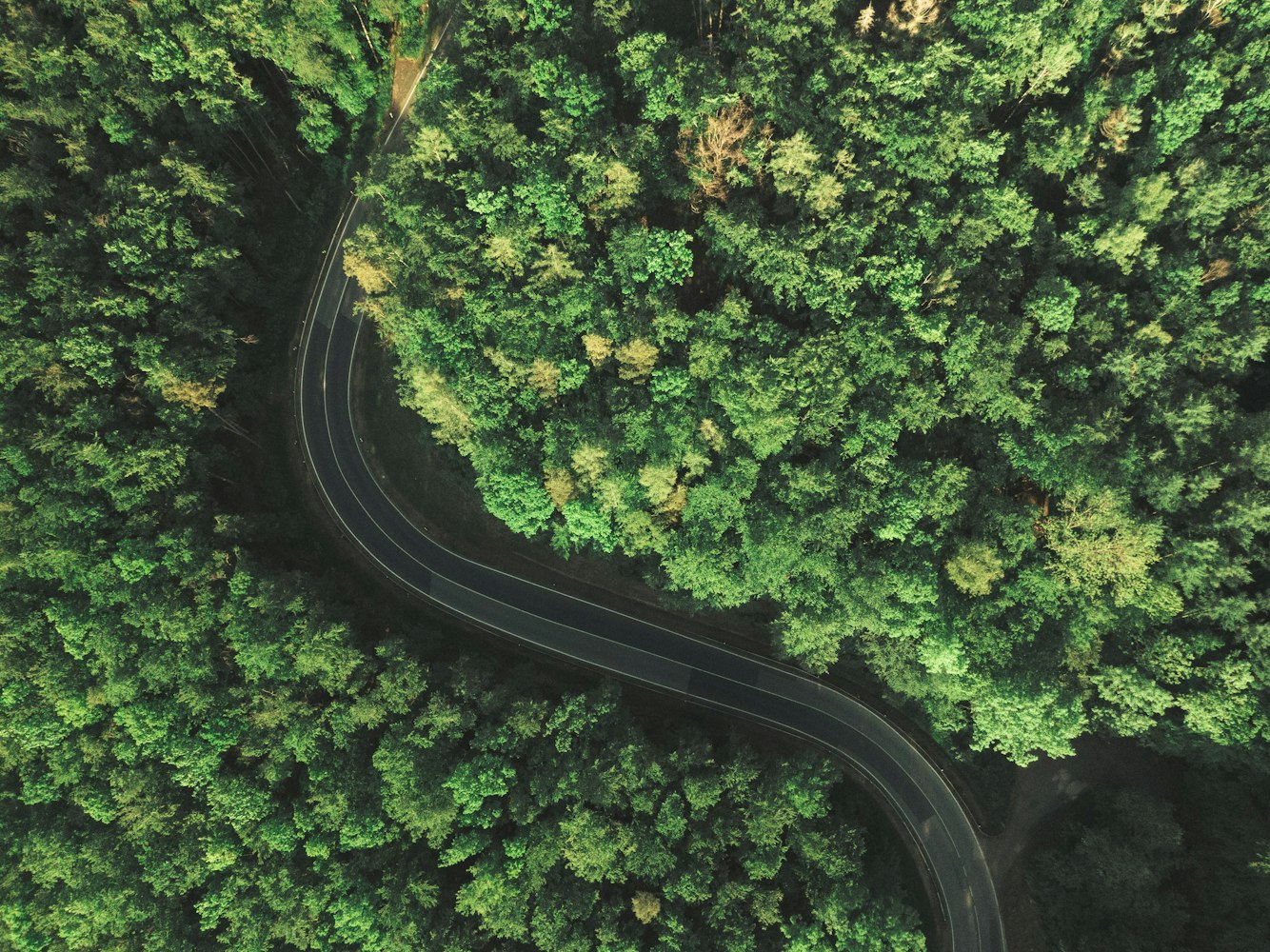 Cover Image for The Road to Fleet Electrification: How Last-Mile Fleet Electrification Is Driving Opportunities