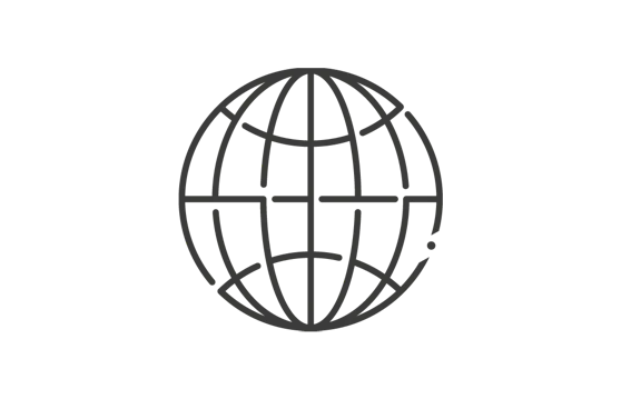 Globe icon