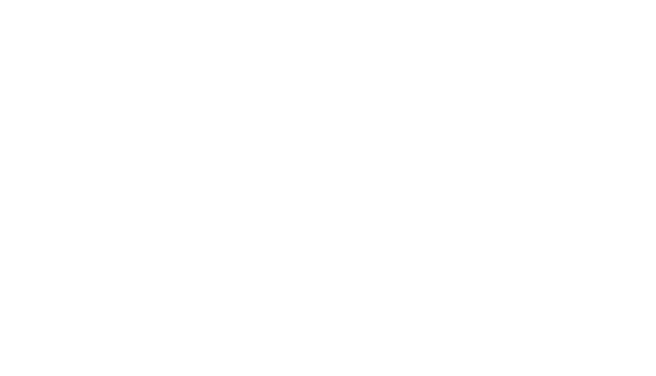 BPP Institute logo