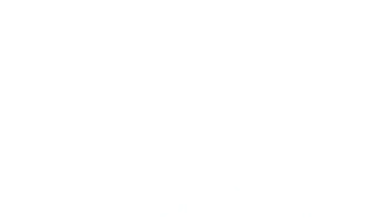 BPP Institute logo