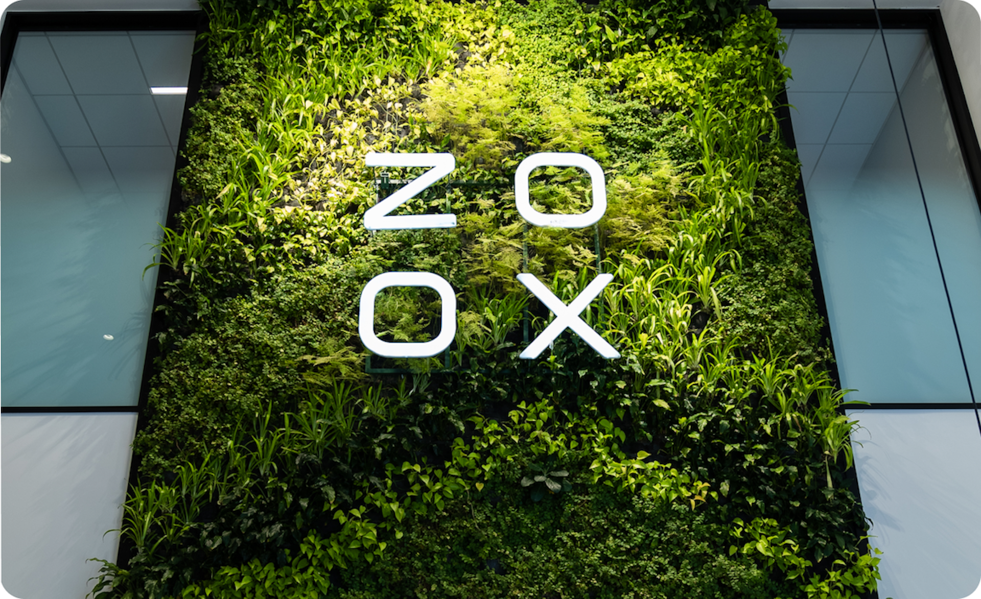 zoox foster city plant wall with zoox logo