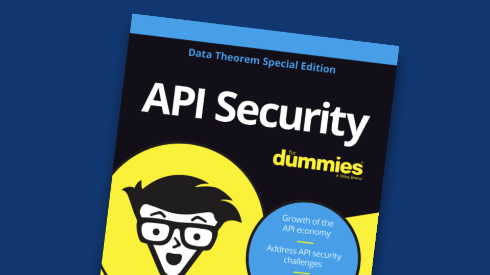 API Security For Dummies