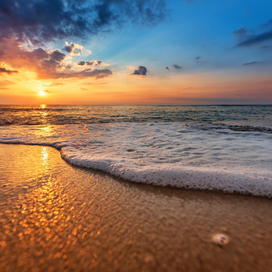 the beach at sunset