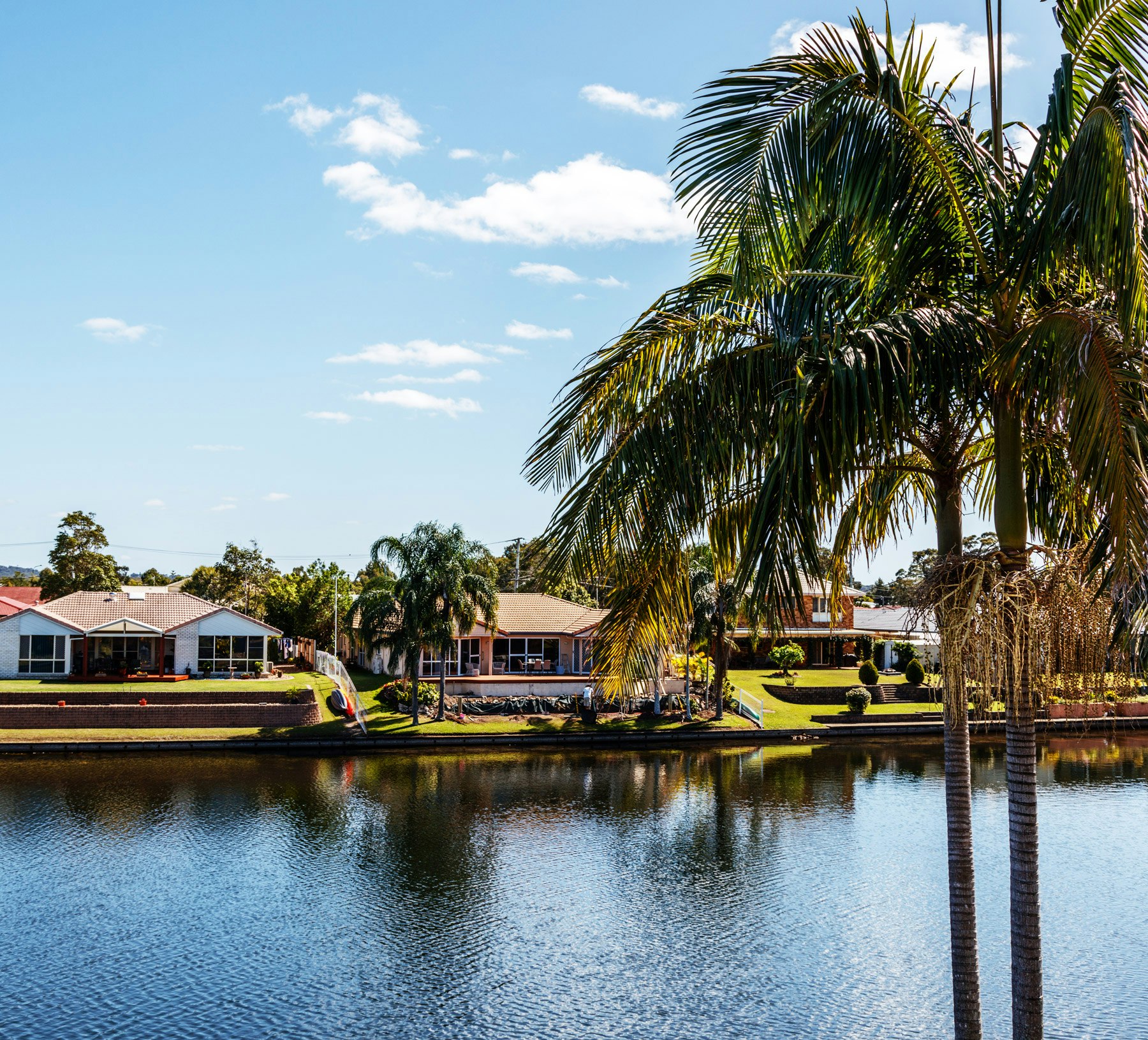 Navigating the local market with expert precision