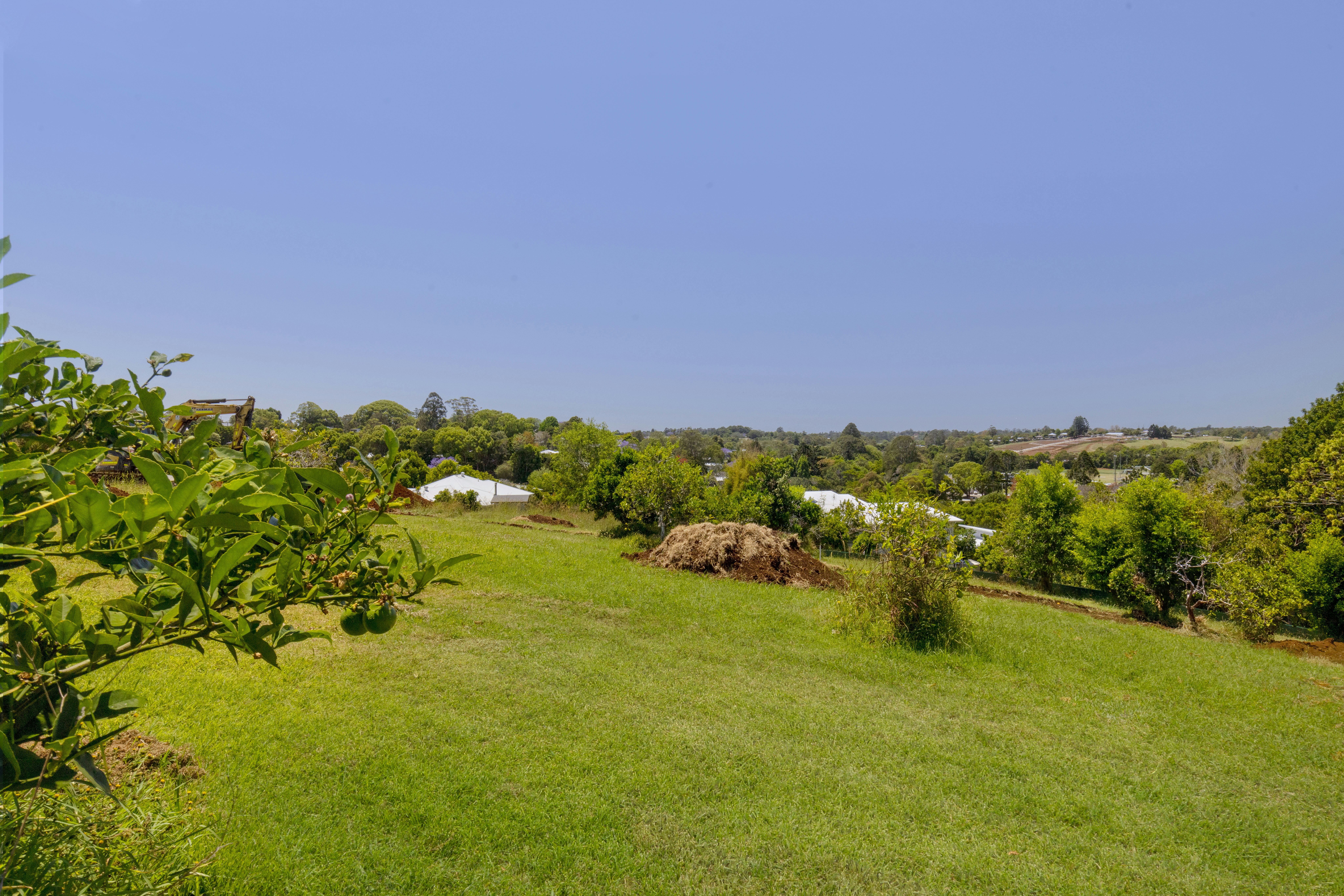 Image of field