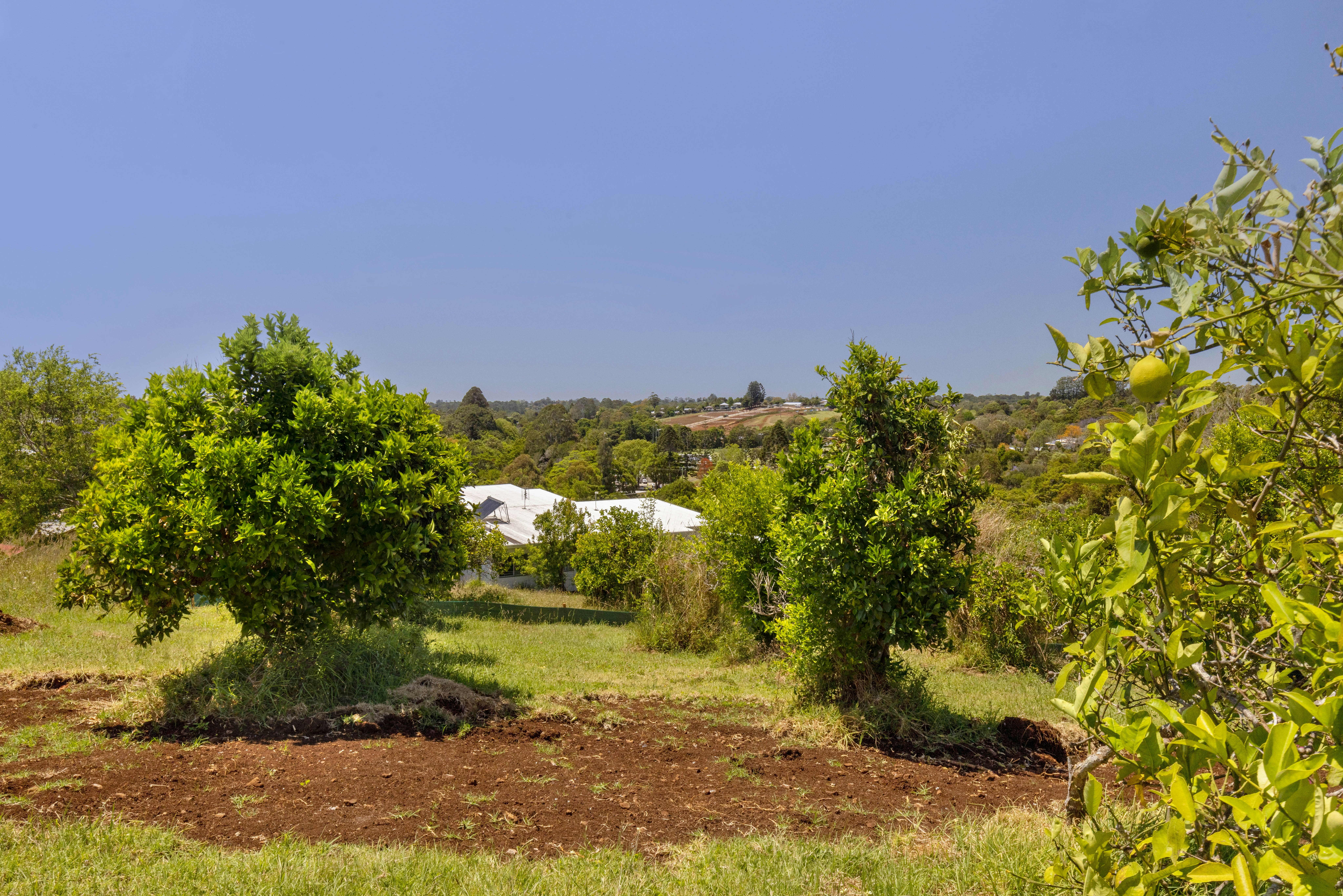 Image of field