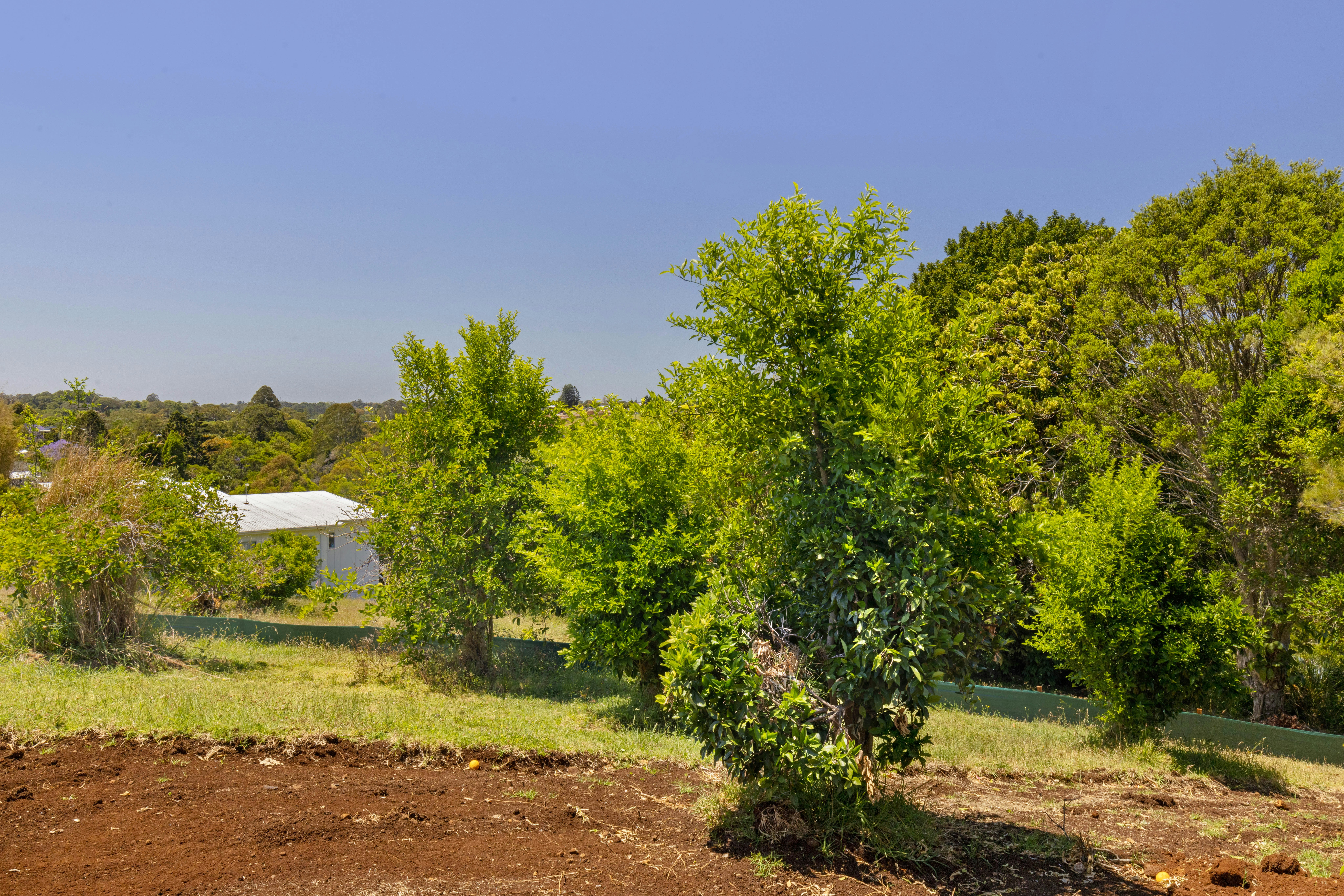 Image of vegetation