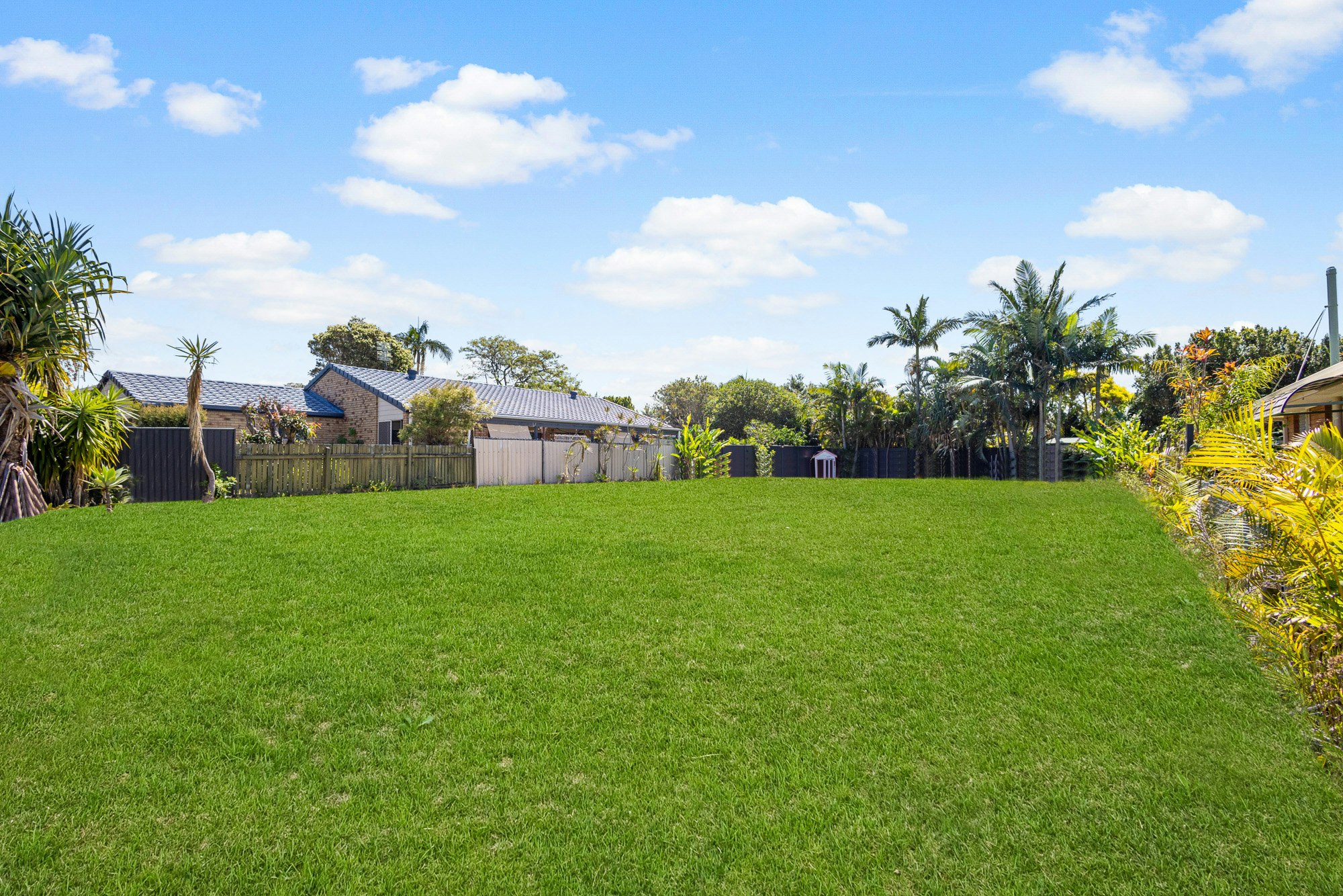 Image of grass