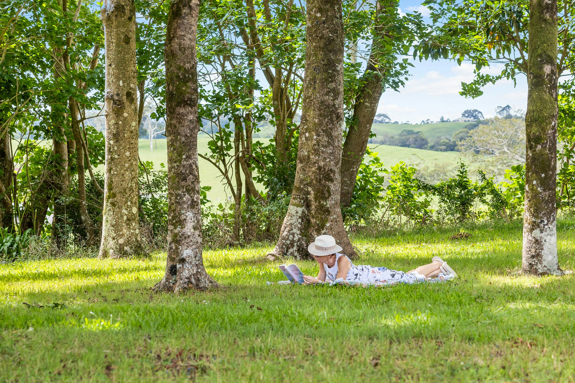 Image of grass
