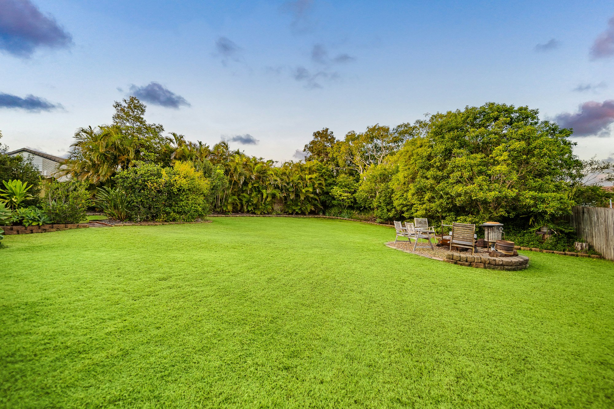 Image of grass