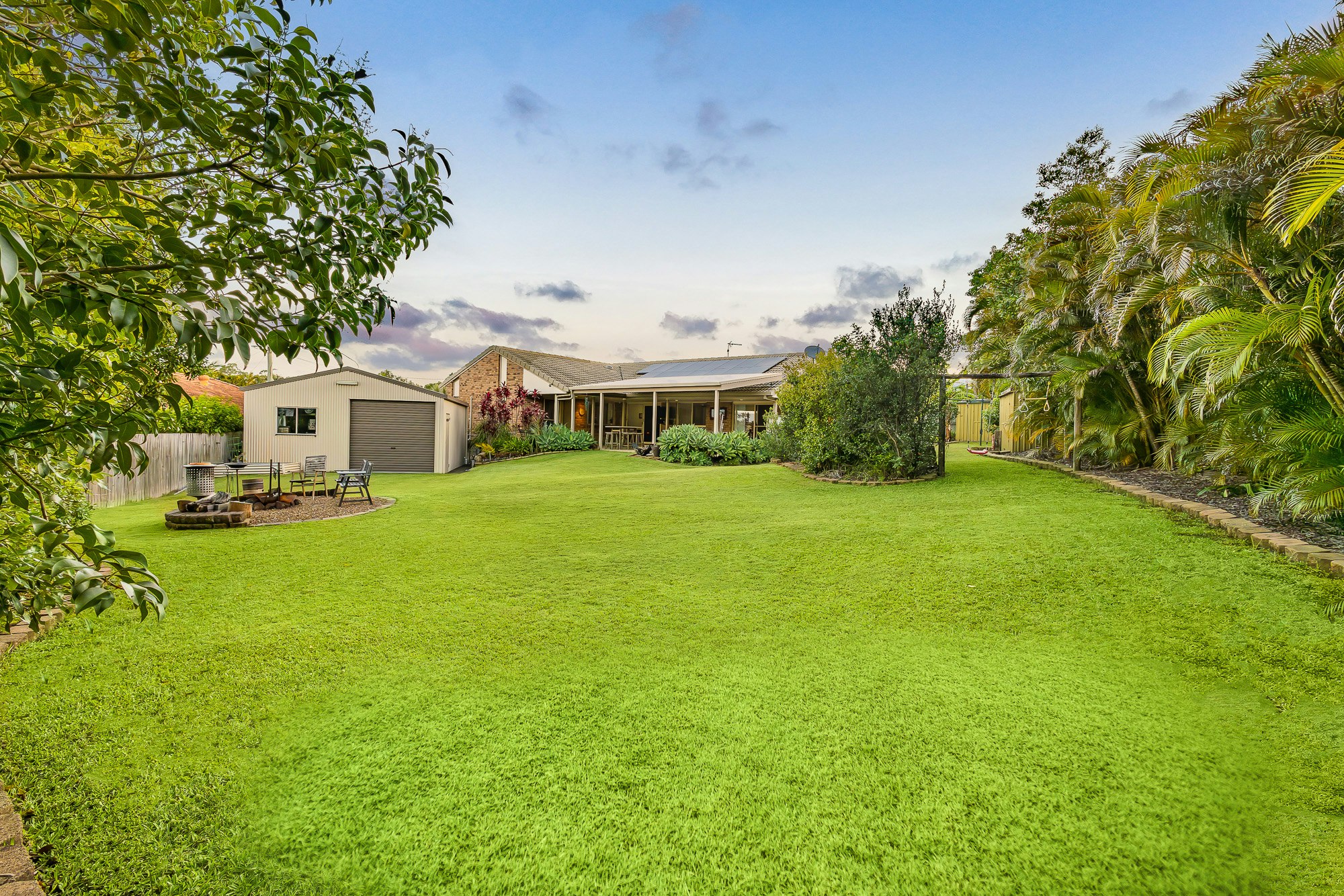 Image of grass