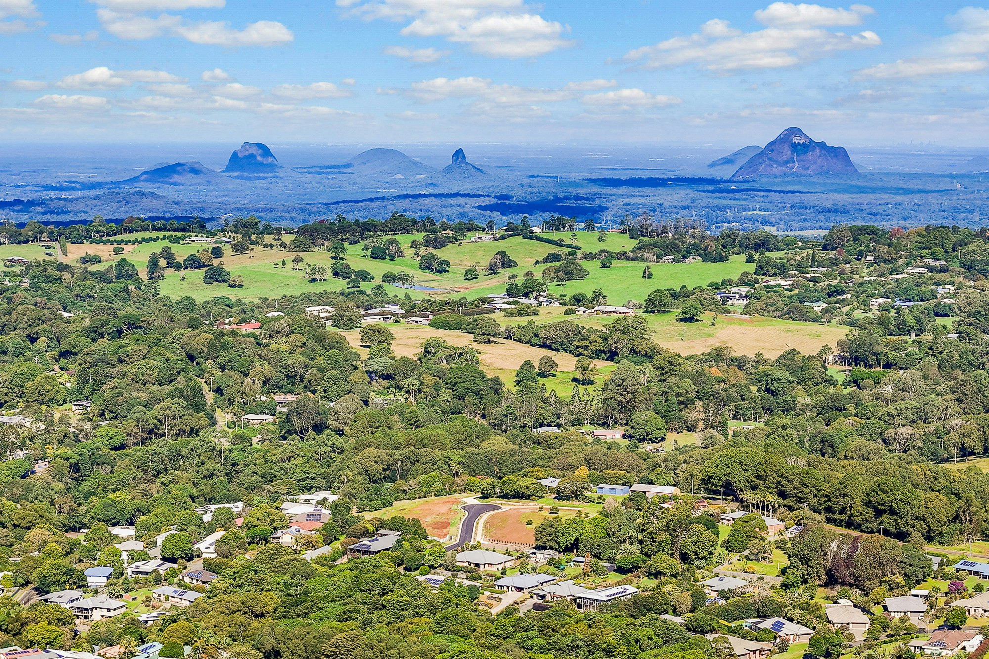 Image of vegetation