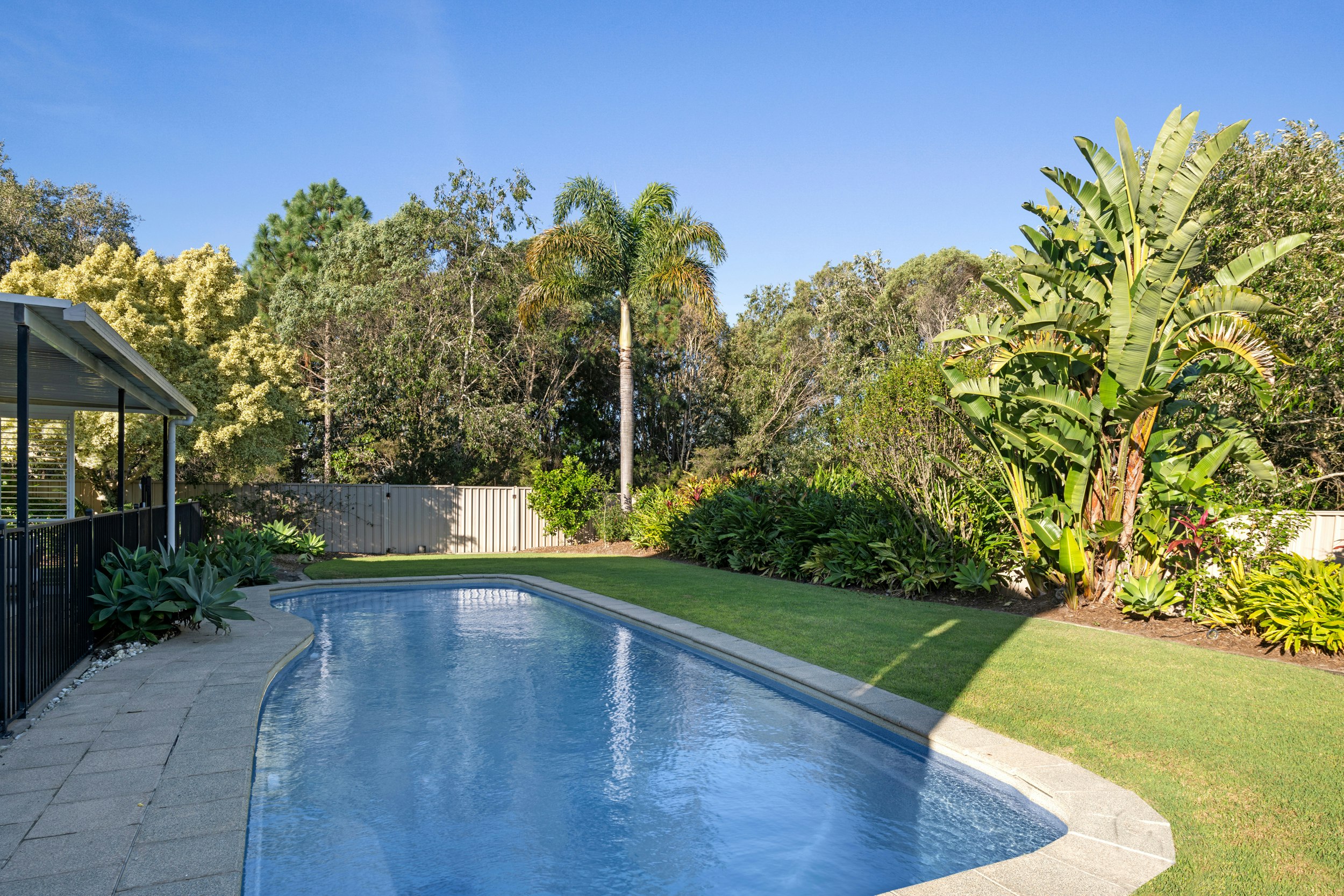 Image of backyard