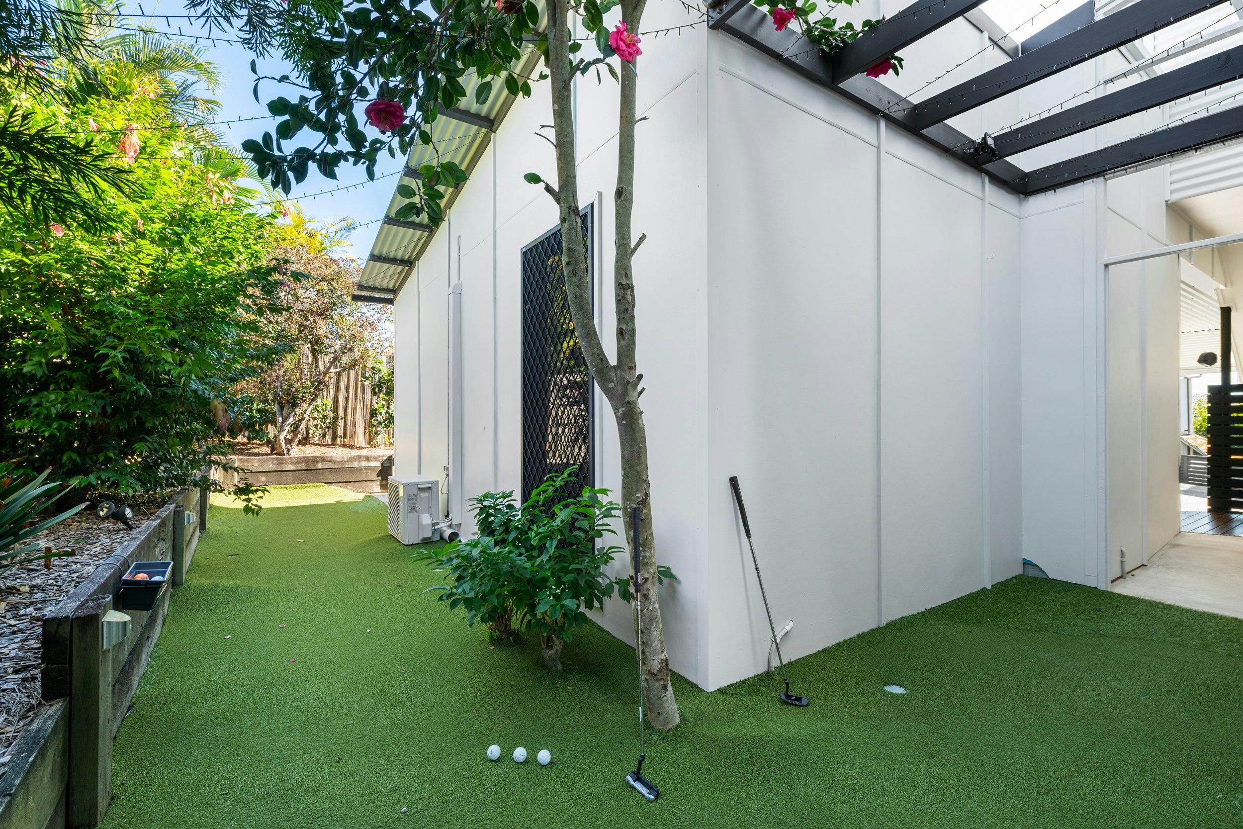 Image of backyard