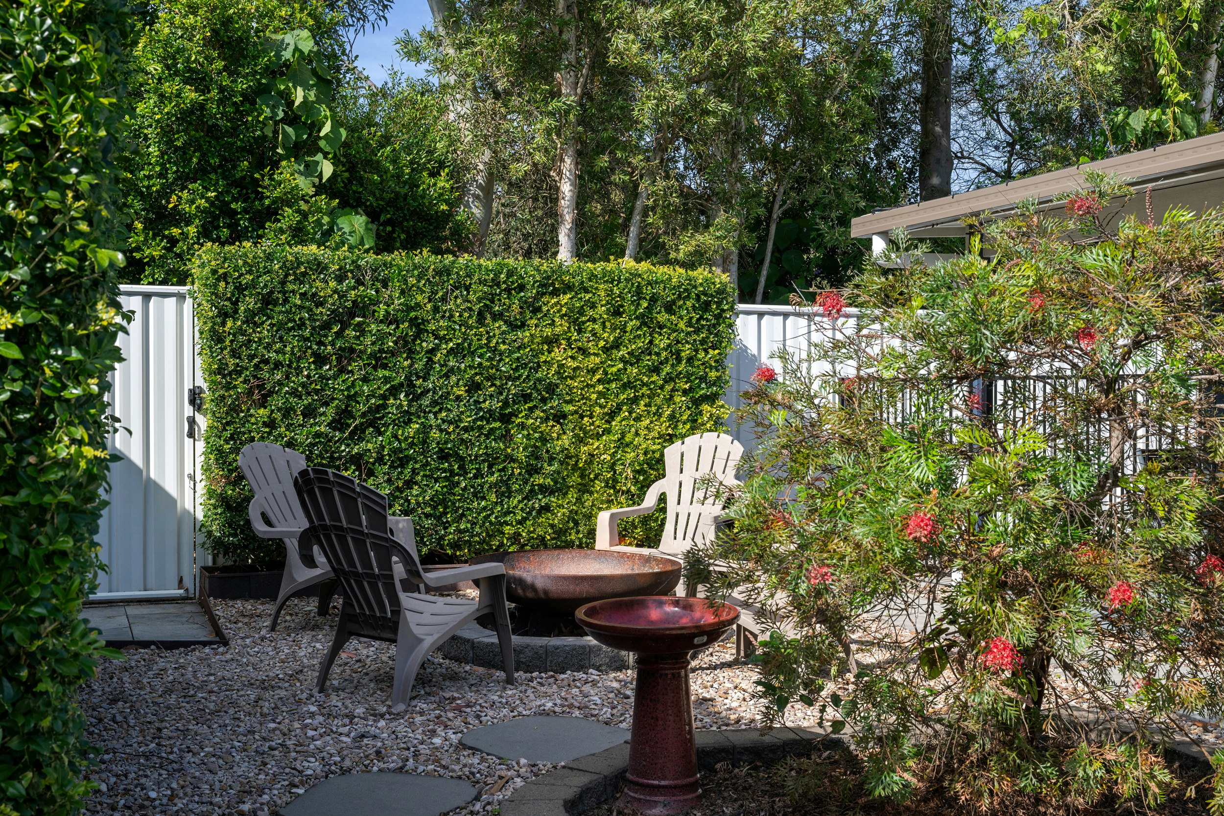 Image of backyard