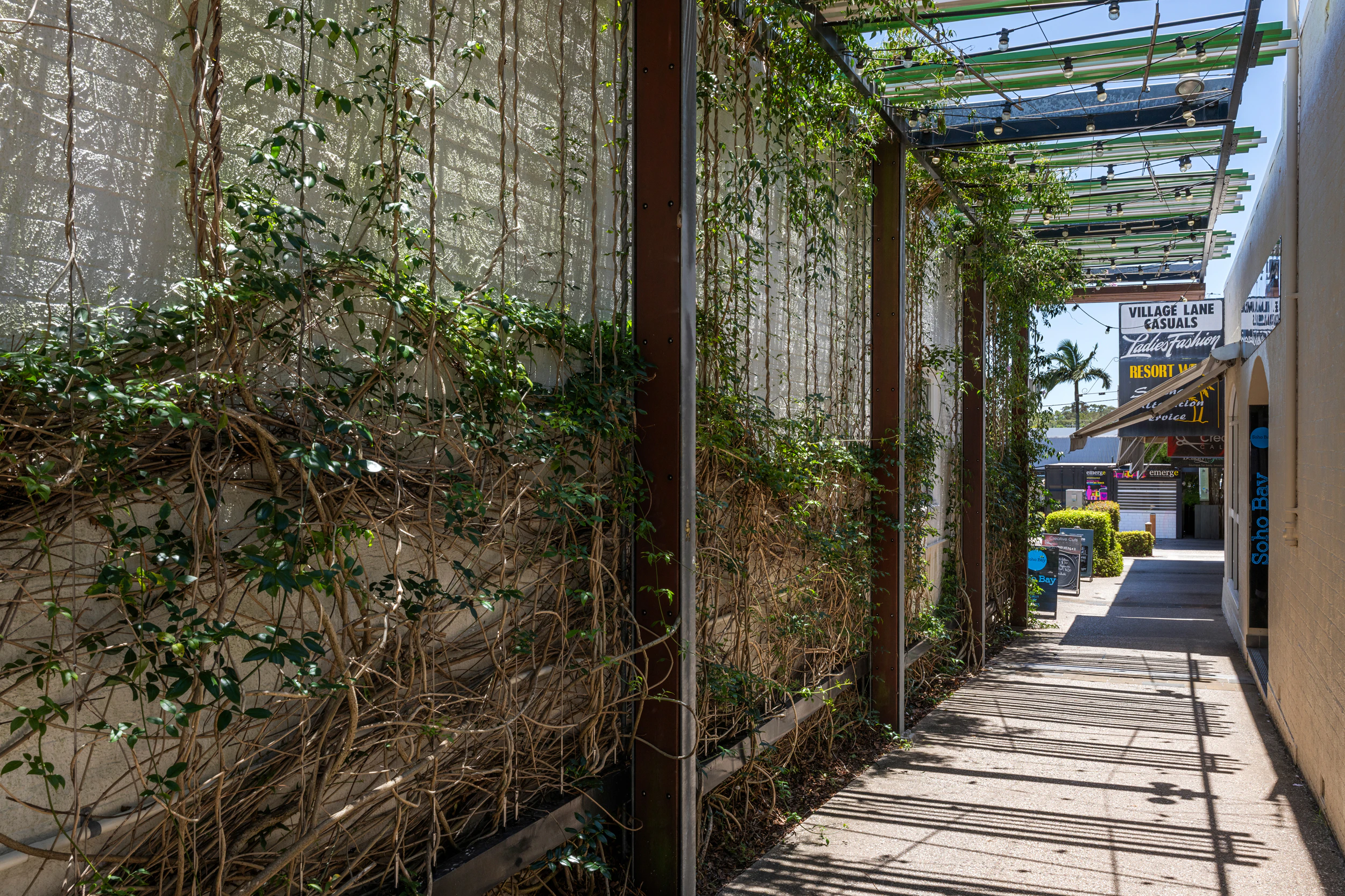 garden