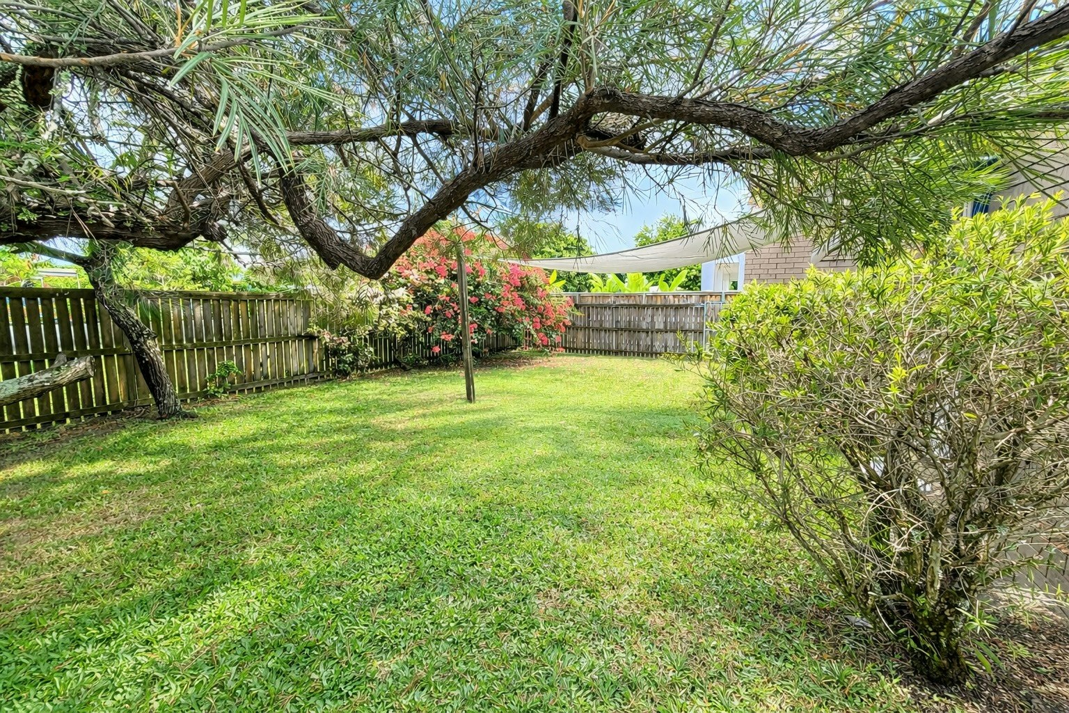 Image of backyard