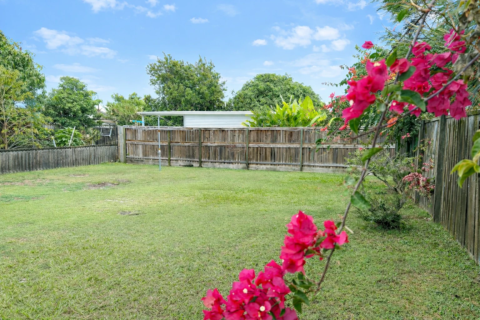 backyard