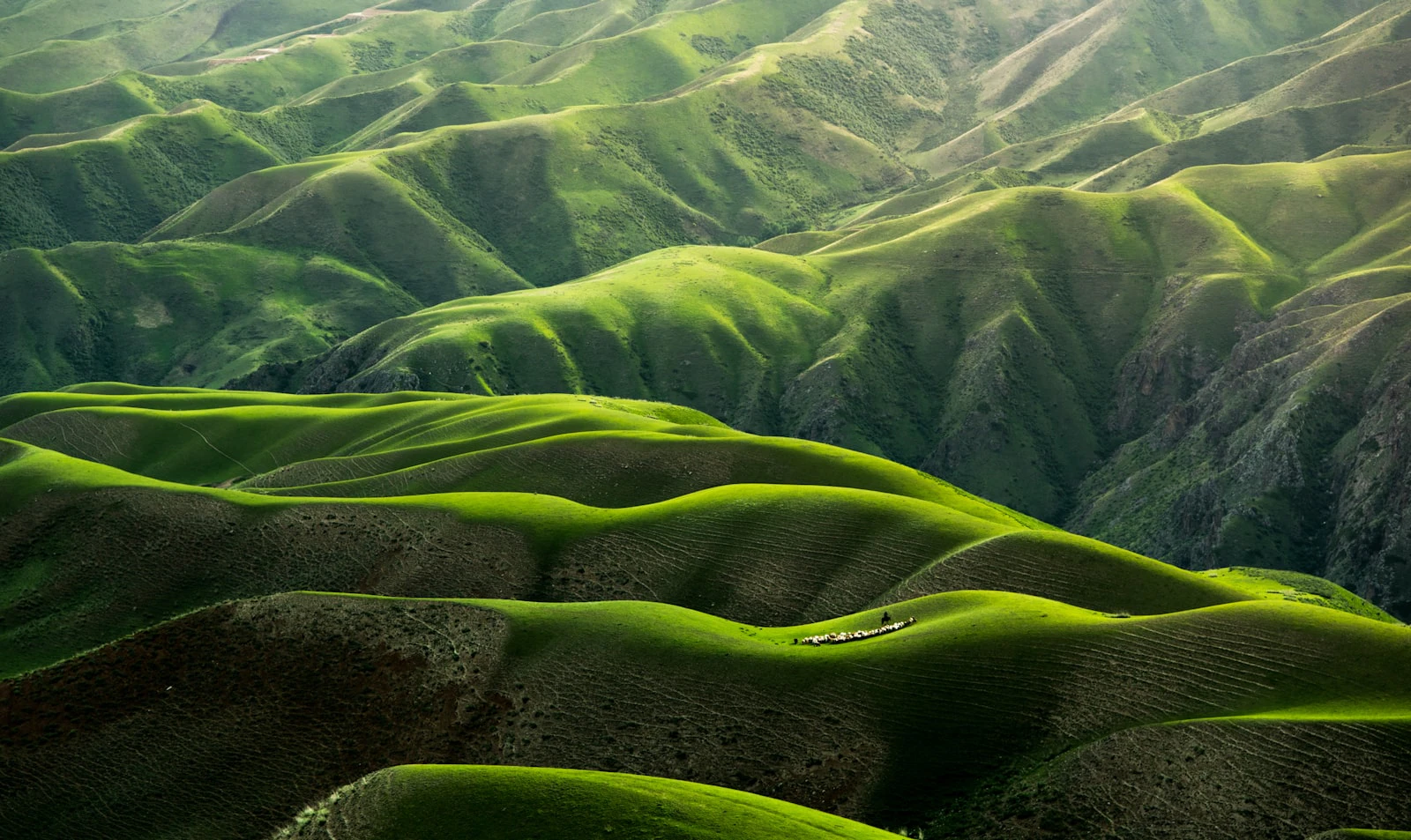 nature