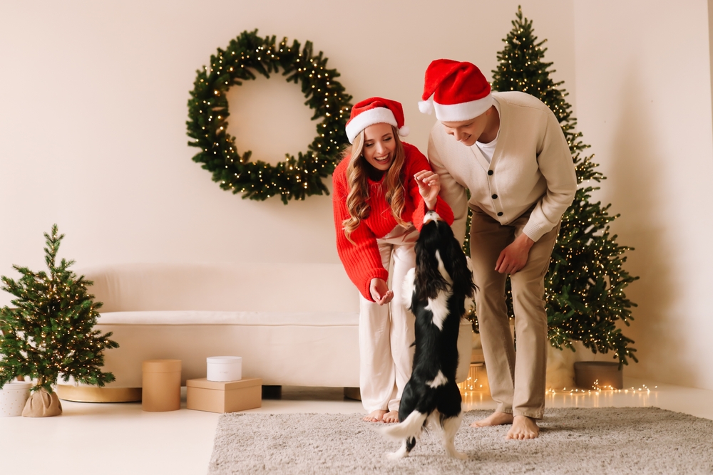 Ensuring Pet Safety: Christmas Decorations That Won't Harm Your Pets