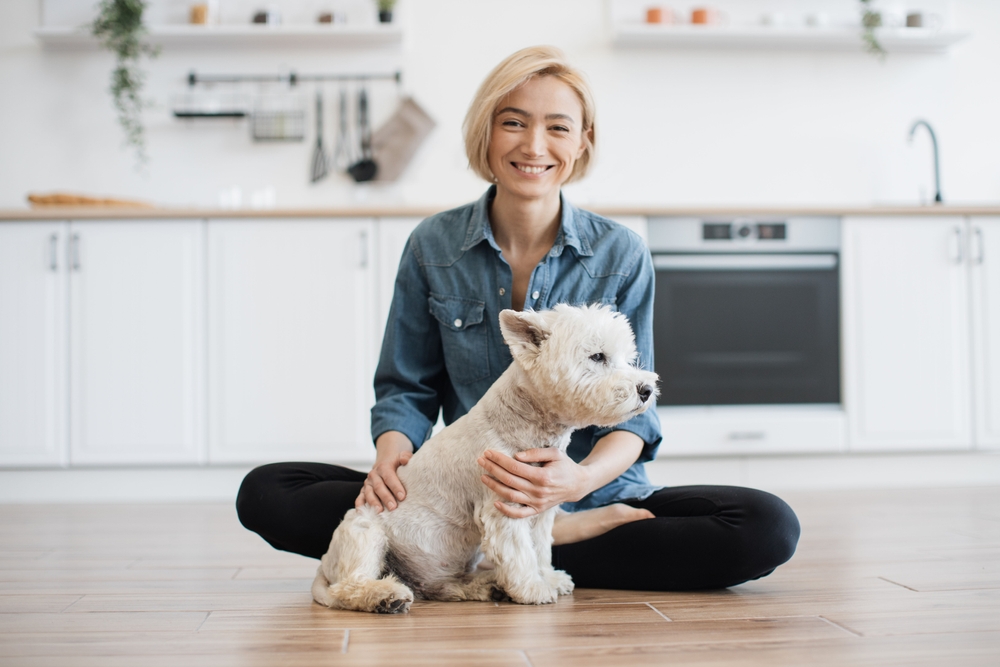 Avoiding Common Household Hazards for Pets