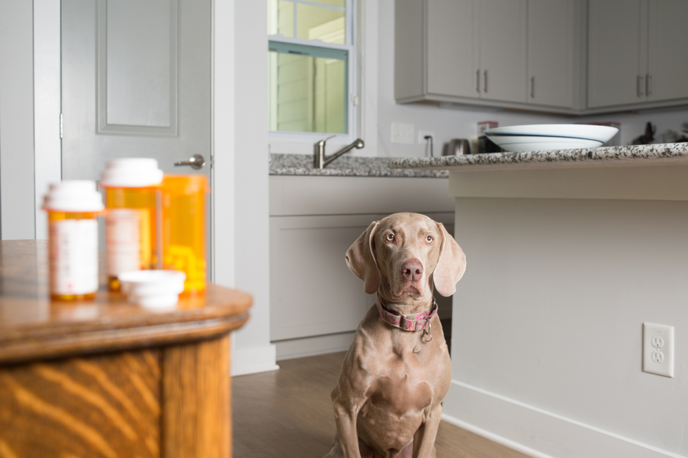 What are the benefits of ordering a pet prescription from an online vet pharmacy?