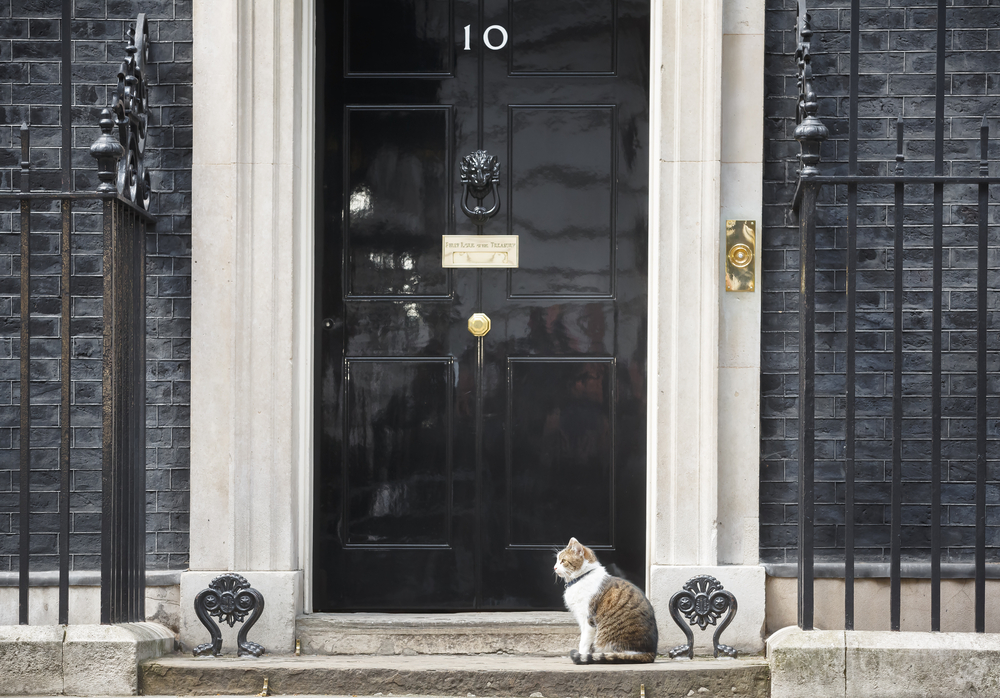 Downing Street Cats - A history of our paw-ministers