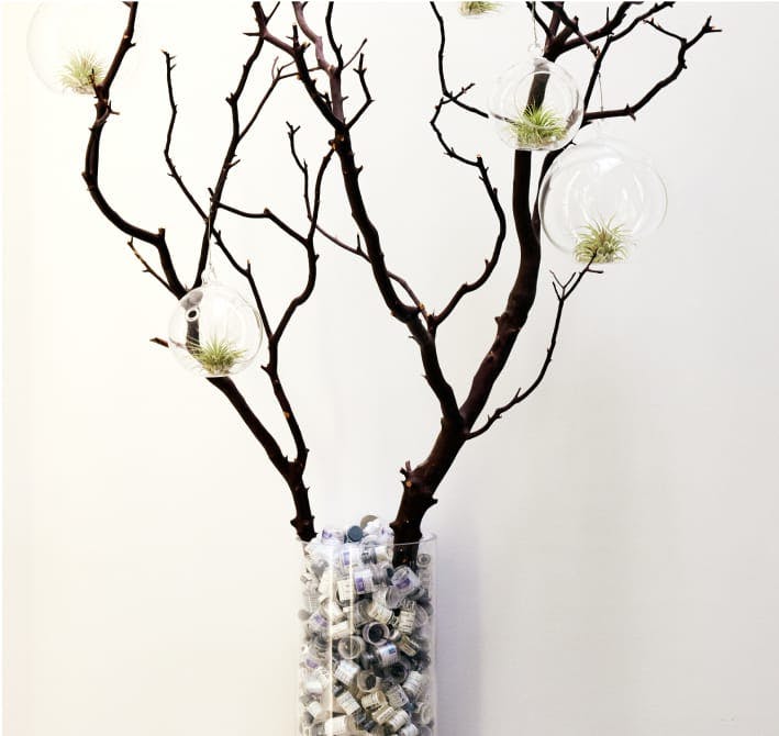 Plant