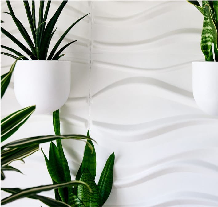 Plants