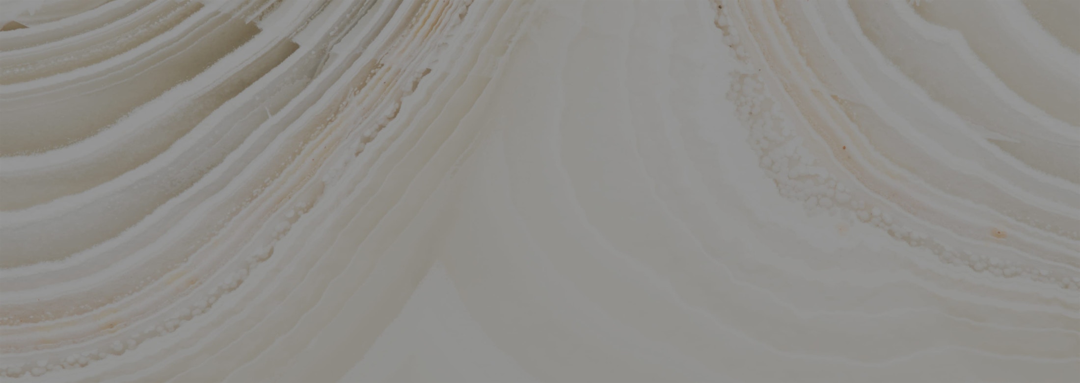 Banner media
