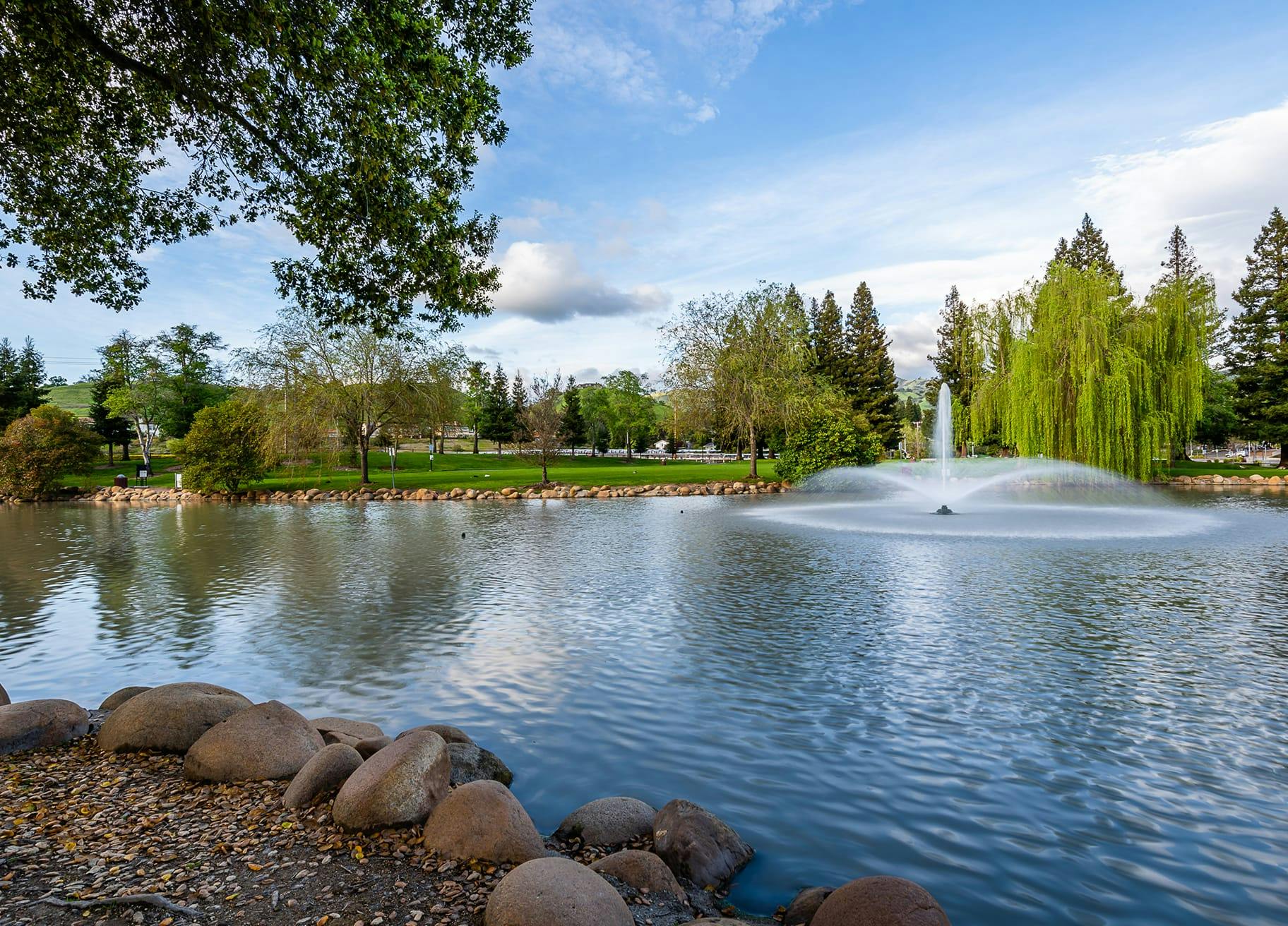 a pond with a fountain and a tree