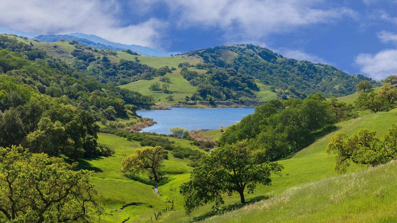 Calero County Park