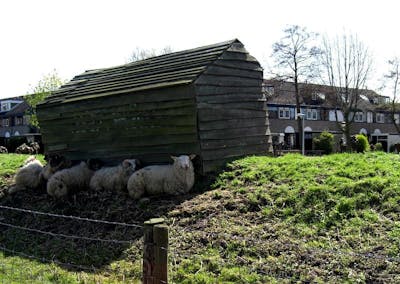 Huizen in Leiderdorp