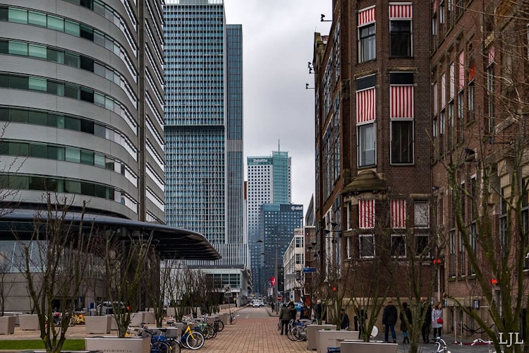 Vergelijk lokale makelaars in Rotterdam