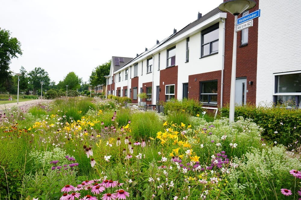 Nieuwbouwwoningen in Nijmegen groen wonen