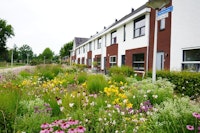 Enschede