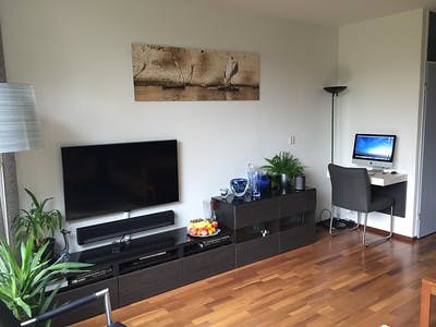 Woonkamer met zo min mogelijk snoeren